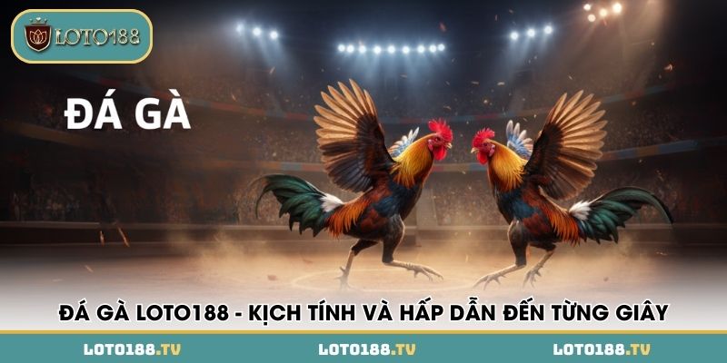 da ga loto188 kich tinh va hap dan den tung giay