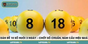 dan de 10 so nuoi 3 ngay chot so chuan bam cau hieu qua