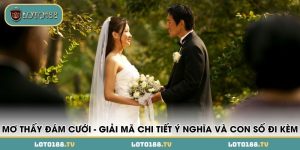 mo thay dam cuoi giai ma chi tiet y nghia va con so di kem