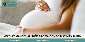 mo thay mang thai diem bao va con so may man di kem