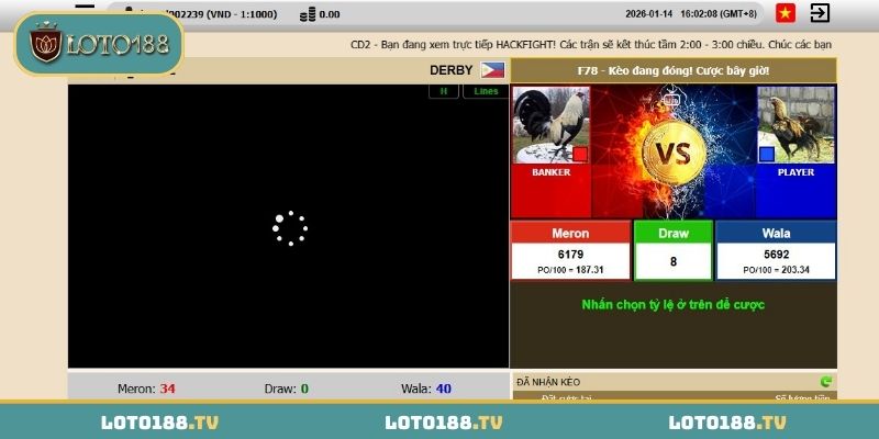 Những hình thức cá cược đá gà Loto188 đang có